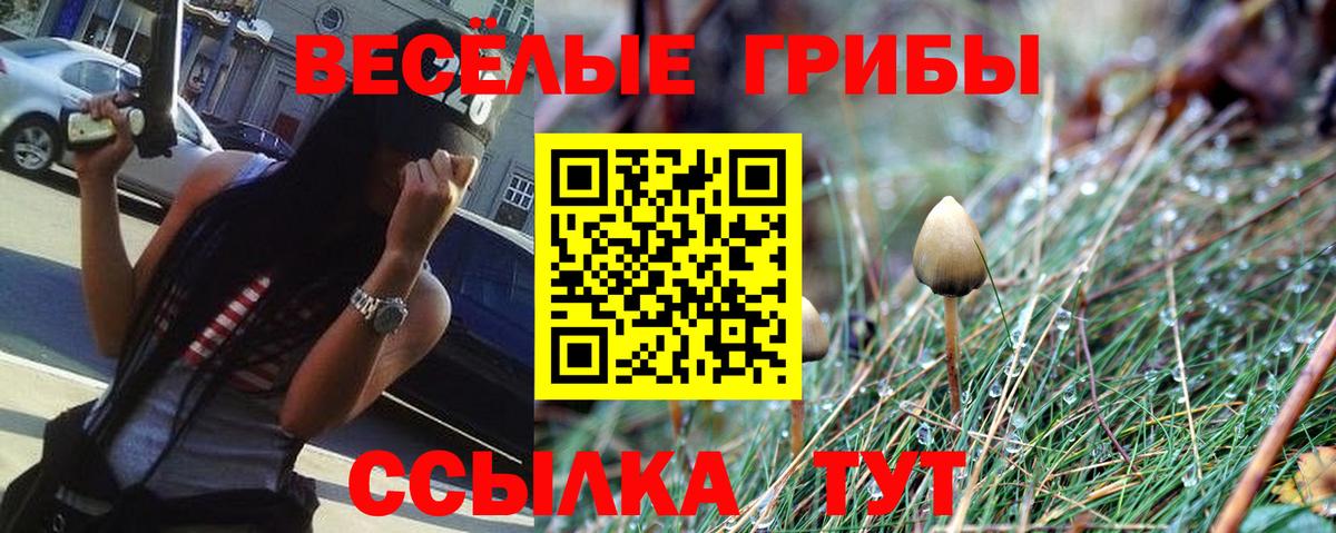 Псилоцибиновые грибы GOLDEN TEACHER  Вход с VPN  Партизанск  Галлюциногенные грибы мицелий 